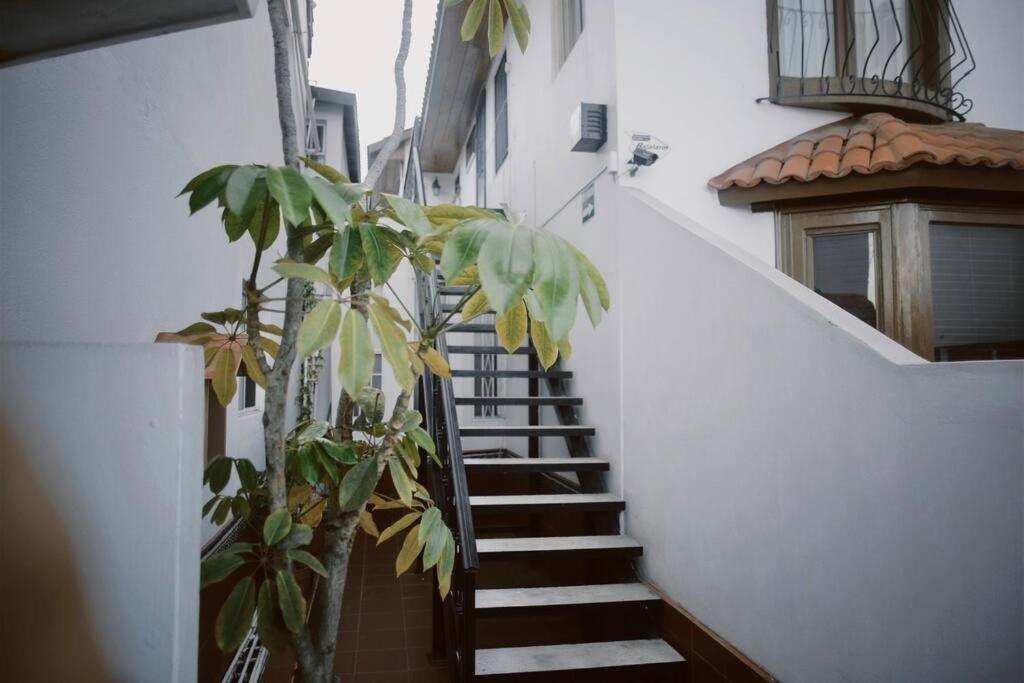 Casa Macfarland Boutique Apartment Ensenada Luaran gambar