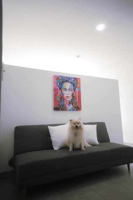 Casa Macfarland Boutique Apartment Ensenada Luaran gambar